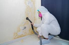 Best Mold Removal for HVAC Installations in Shillington, PA